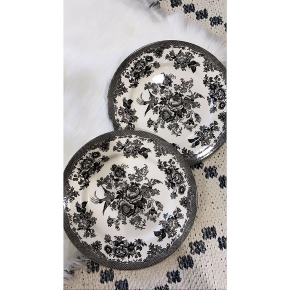 Royal Stafford ASIATIC PHEASANT BLACK 11" Dinner Plates England Pottery